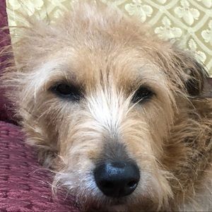 Meet your Posher, Supa Maine Jones